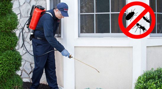 Akseki Karınca İlaçlama böcek ilaçlama ve haşere kontrolü — ilaclama-tr.com
